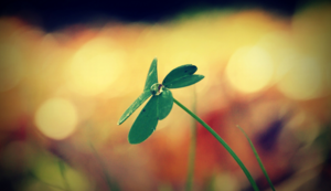 五大联赛争霸气氛浓厚比赛惊险至极