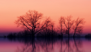 热火队逆转比分，击败对手——一场激情与智慧并存的胜利