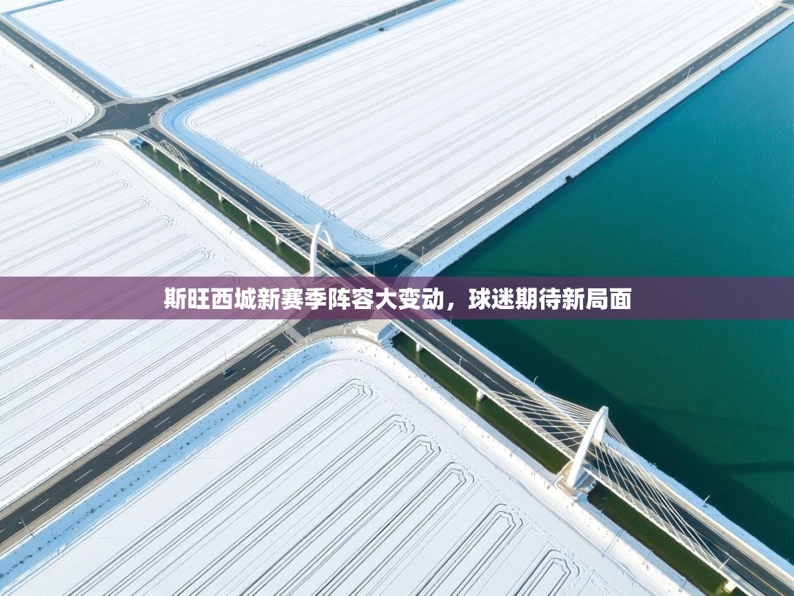 斯旺西城新赛季阵容大变动，球迷期待新局面