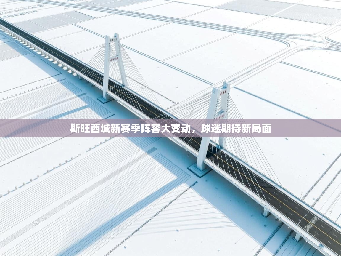 斯旺西城新赛季阵容大变动，球迷期待新局面  第2张