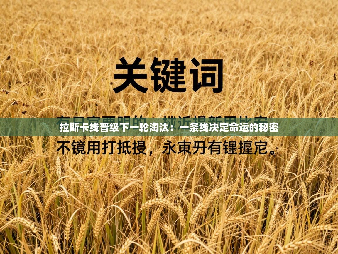 拉斯卡线晋级下一轮淘汰：一条线决定命运的秘密  第2张