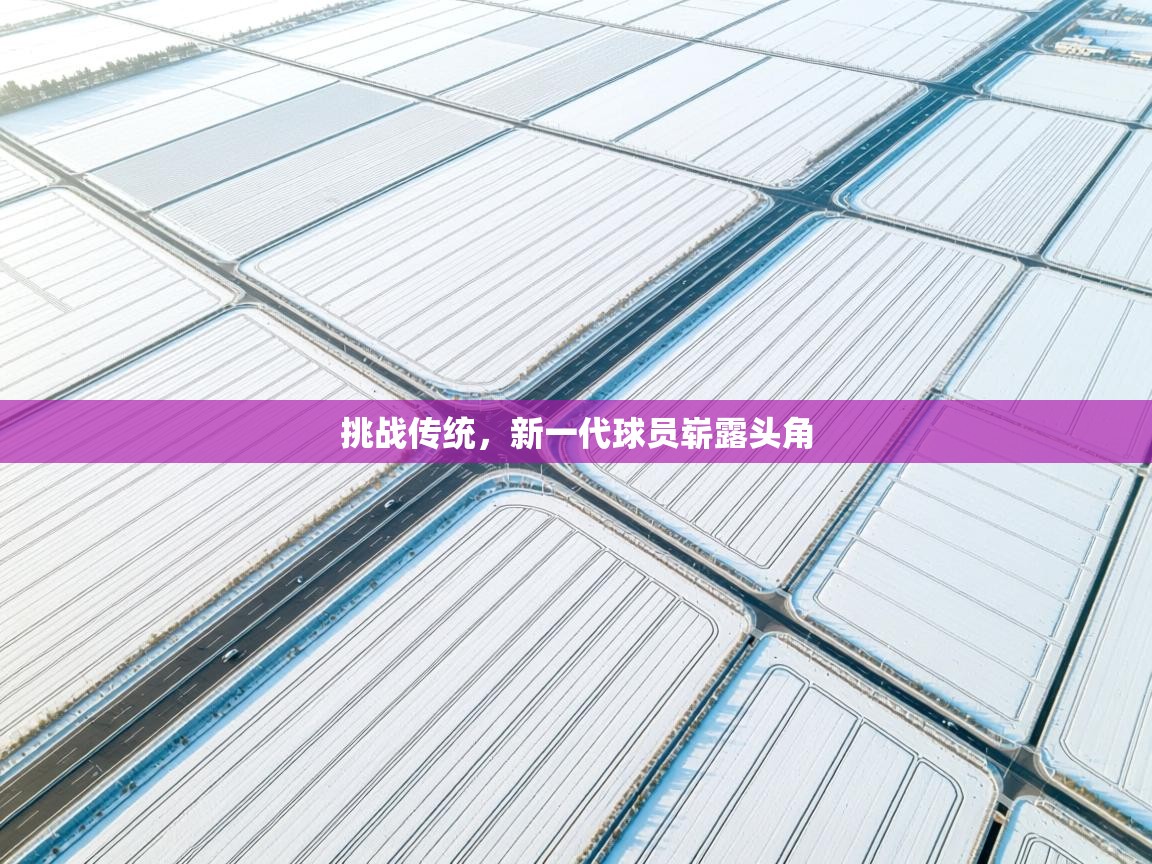 挑战传统，新一代球员崭露头角  第1张