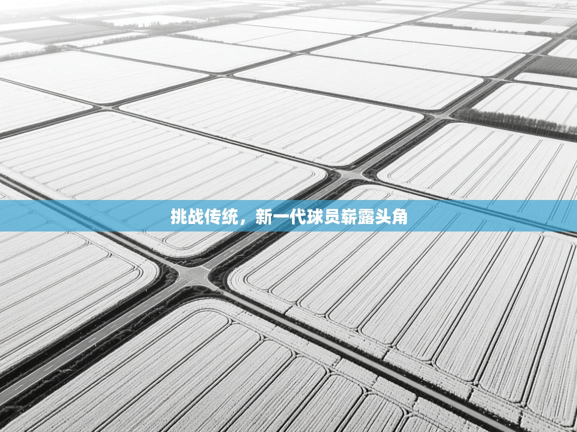 挑战传统，新一代球员崭露头角  第2张