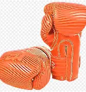 包含拳击比赛中乌克兰拳手技压群雄的词条