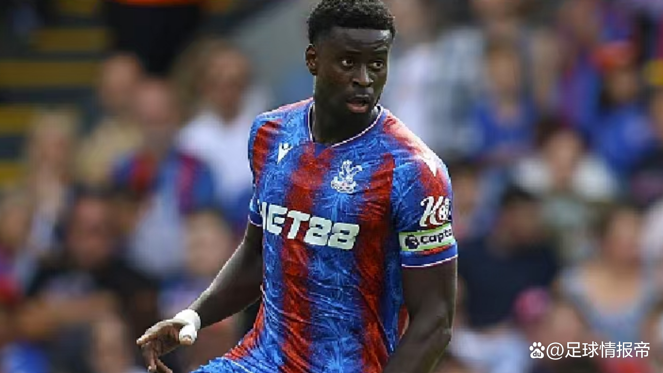 利兹联主场不敌南安普顿，遗憾落败的简单介绍