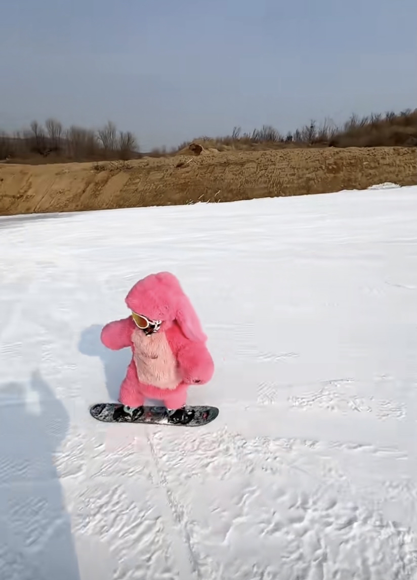 关于挪威滑雪选手飞驰冰面，刷新记录的信息